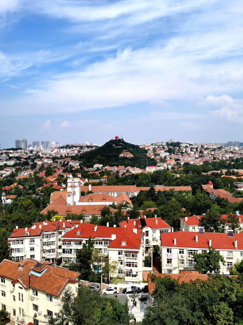 青岛红瓦绿树碧海蓝天 (92).jpg